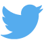 Twitter Icone